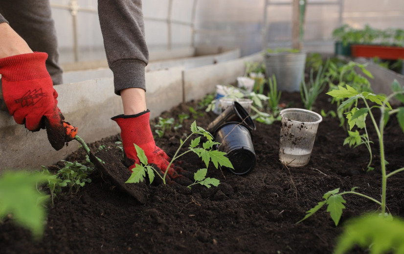 Callcenter geeft tuinliefhebbers advies over het correct gebruik van bestrijdingsmiddelen