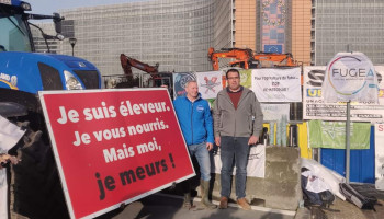 Protest tegen Mercosur blijft aanhouden: demonstratie in Brussel, open brief en hoorzitting in Vlaams parlement