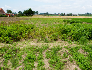 EMPHASIS-project verenigt onderzoekers en landbouwers