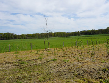 Natuurpunt blijft bezorgd over het ploegen van grasland