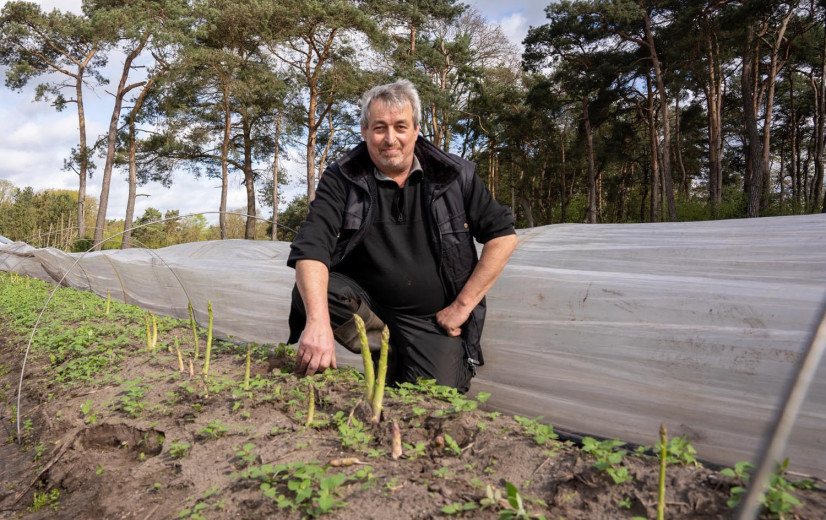 Hopen op gat in de markt met groene asperges, maar wachten op betere prijs