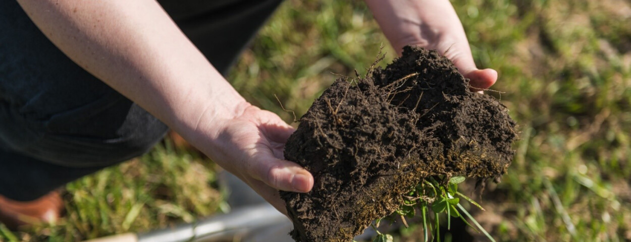 bodem bodemleven_provincie Antwerpen