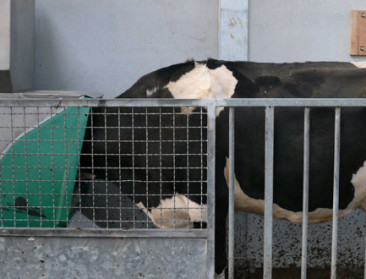 Welke inspanning oppert klimaatresolutie voor landbouw?