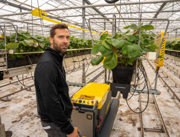 Uitbreidende aardbeiteler pioniert met UV-robot en doordragers