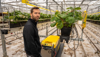 Uitbreidende aardbeiteler pioniert met UV-robot en doordragers
