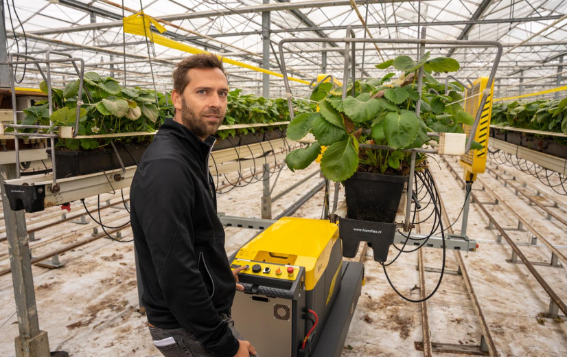 Uitbreidende aardbeiteler pioniert met UV-robot en doordragers