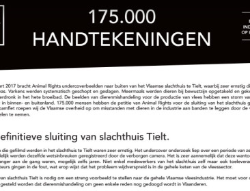 175.000 handtekeningen voor sluiting slachthuis Tielt
