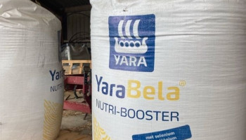 Yara wil ammoniakproductie in België schrappen: “Europese kunstmestindustrie bevindt zich op een cruciaal keerpunt”