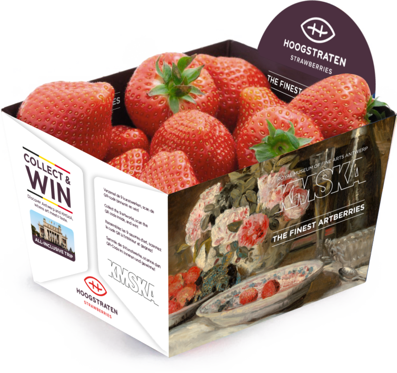 Kunstpunnet samenwerking Hoogstraten KMSKA aardbeien