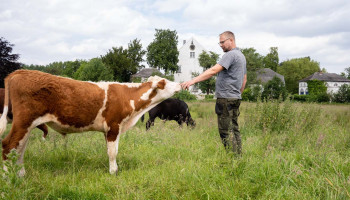 Boer van Herkenrode: "Biologische rundveehouderij heeft geen verdienmodel"