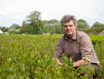 Bart Van Hulle: “Zuhal Demirs koppigheid heeft een belangrijke rol gespeeld in het stikstofdossier”