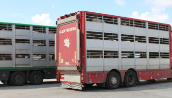 EU-Commissie heeft strengere regels voor dierentransport klaar