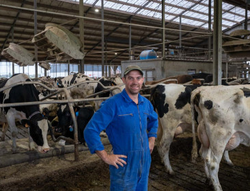Stikstofreductie: keuze voor koecomfort en arbeidsgemak breekt melkveehouder zuur op