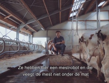 VIDEO: Dimitri Leue te gast bij Antwerpse proefcentra