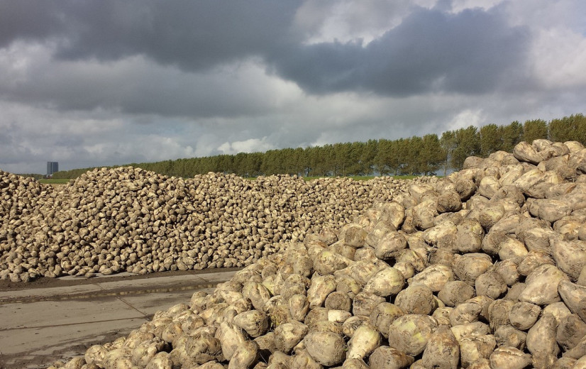 750 hectare bieten uitgevallen in "moeilijkste Iscal-campagne ooit”