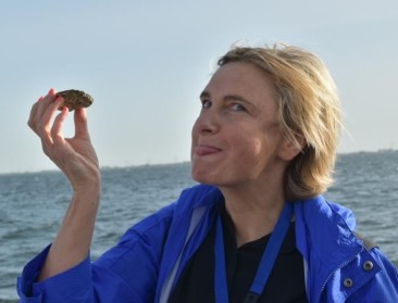 Opening oesterseizoen: "goed gevuld en heerlijk van smaak"