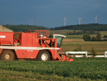 Groenteverwerkers hebben weeral zorgen omtrent aanvoer