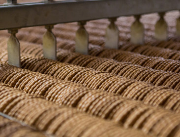 Duurzame en lokale tarwe voor grootste koekjesfabrikant