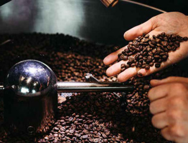 Mogelijk koffietekort in 2025 door Europese ontbossingsregels