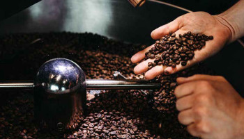 Mogelijk koffietekort in 2025 door Europese ontbossingsregels