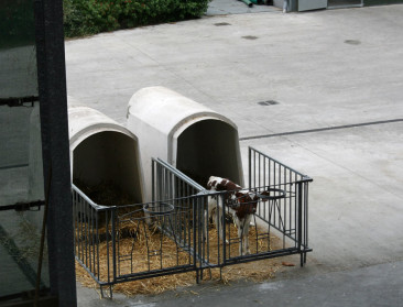 "Nood aan wederzijds respect in zuivelsector"