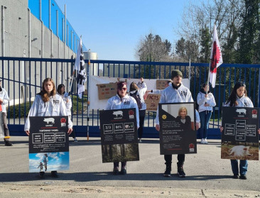 Bite Back protesteert aan slachthuis tegen overheidssteun varkensindustrie
