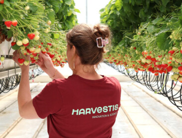 Antwerpse proefcentra fuseren tot Harvestis