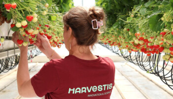 Antwerpse proefcentra fuseren tot Harvestis