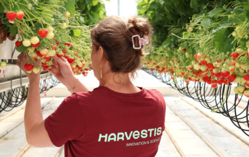 Antwerpse proefcentra fuseren tot Harvestis