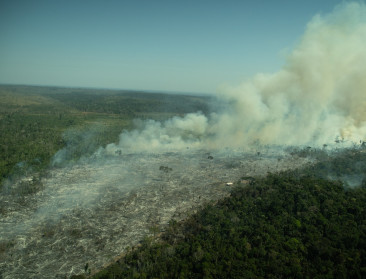 “Ecologische noodsituatie" in Bogota door bosbranden in Amazonewoud