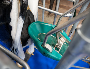 ‘Koetoilet’ officieel erkend als emissiereducerende staltechniek