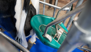 ‘Koetoilet’ officieel erkend als emissiereducerende staltechniek