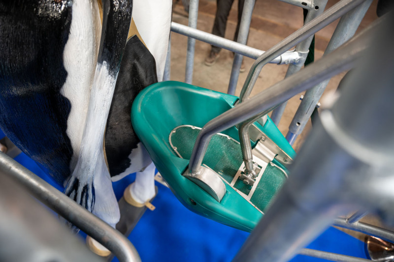 Cowtoilet op Agribex