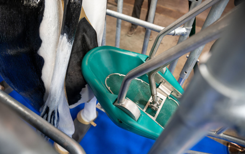 ‘Koetoilet’ officieel erkend als emissiereducerende staltechniek