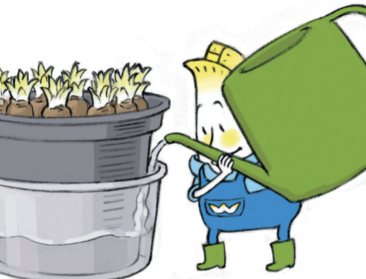 24.000 leerlingen ontdekken Vlaams-Brabants witloof