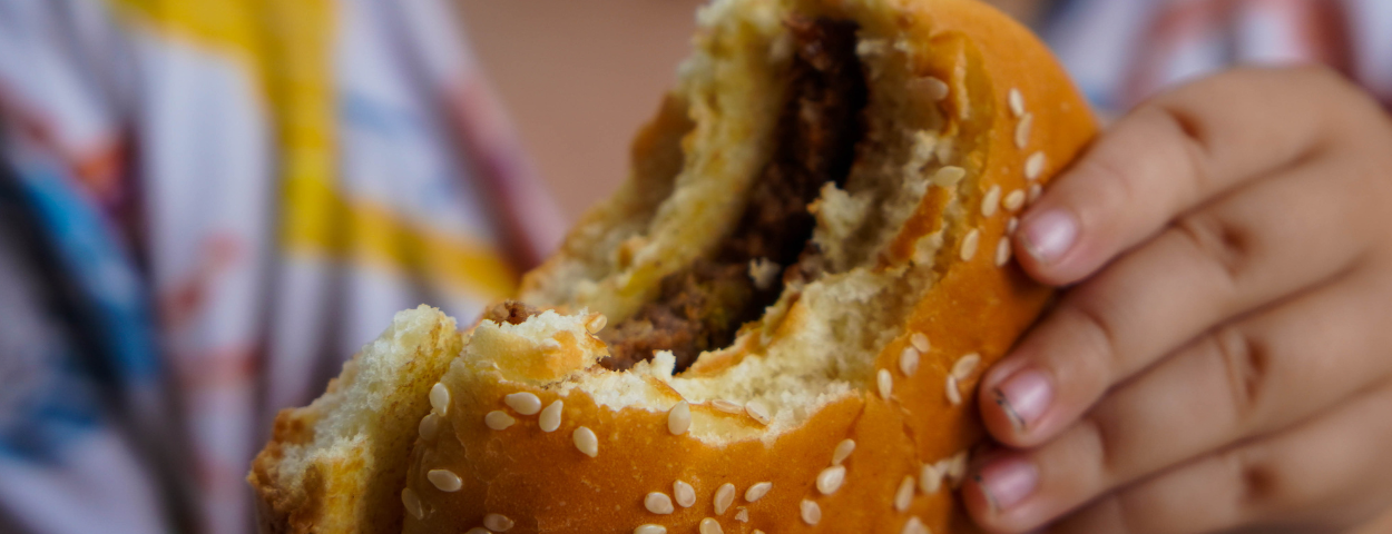hamburgervleesversusveggievegetarischbenaming-1250