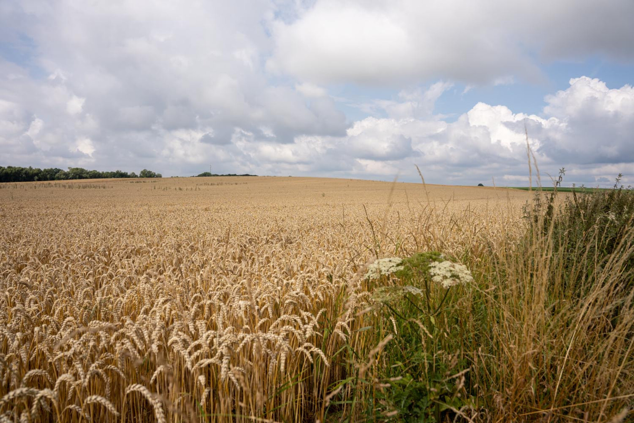akkerbouwregio Wallonie Puymbrouck