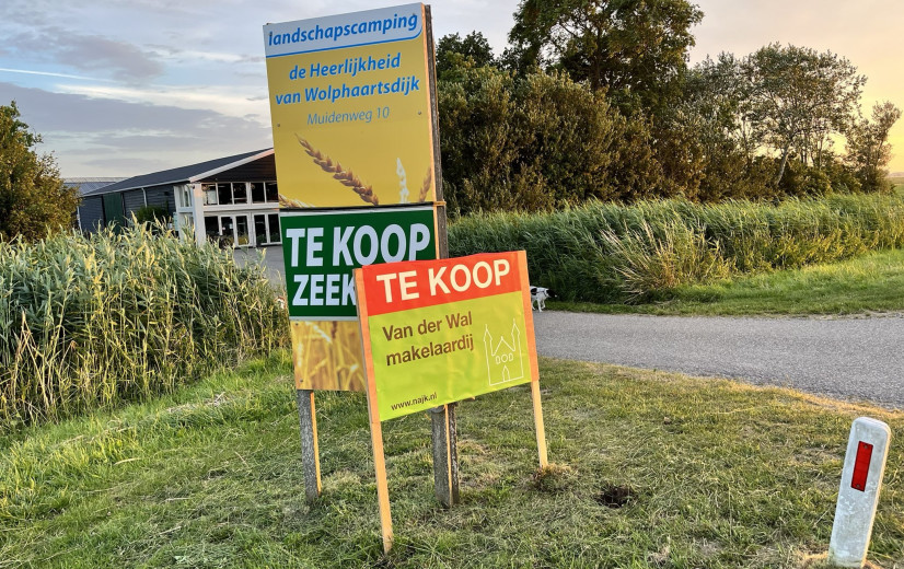 In Nederland willen al 563 veehouders zich laten uitkopen omwille van stikstof