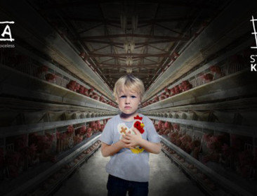 GAIA zaagt dierenkooien in stukken