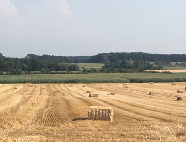 Landbouwbeleid kampt met uiteenlopende verwachtingen