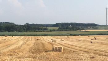 Landbouwgrond mag niet langer in globaal kader van natuurbeheerplan opgenomen worden