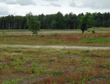 MINA en SALV adviseren over subsidiëring natuurbeheer