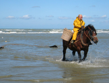 Vernieuwd Navigo-visserijmuseum in Oostduinkerke opent zaterdag de deuren