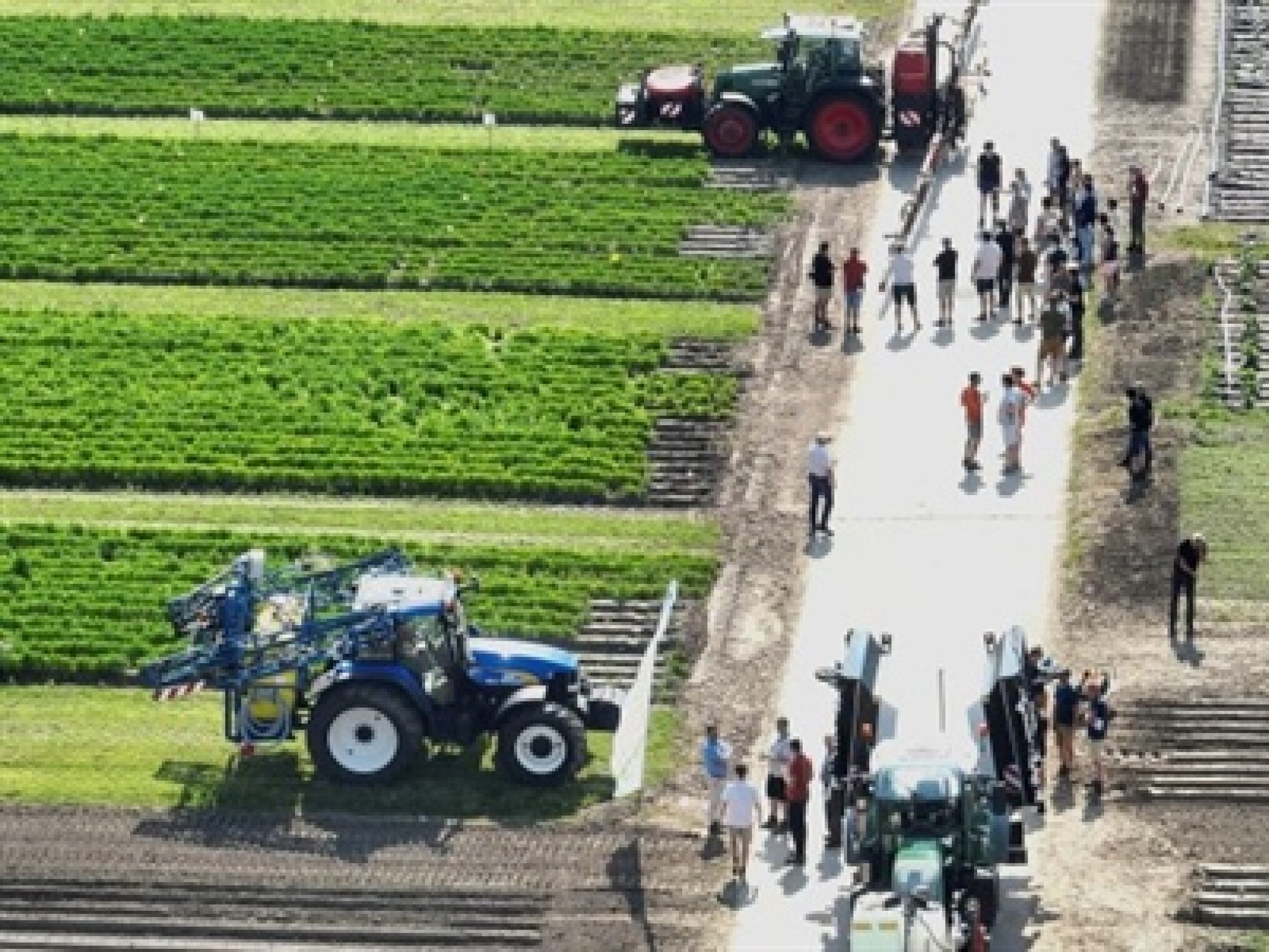 Proefveldbezoek openluchtgroenten