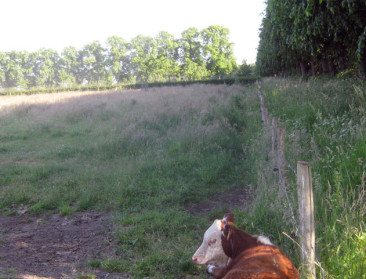 Verstandhouding tussen landbouw en natuur lijkt zoek