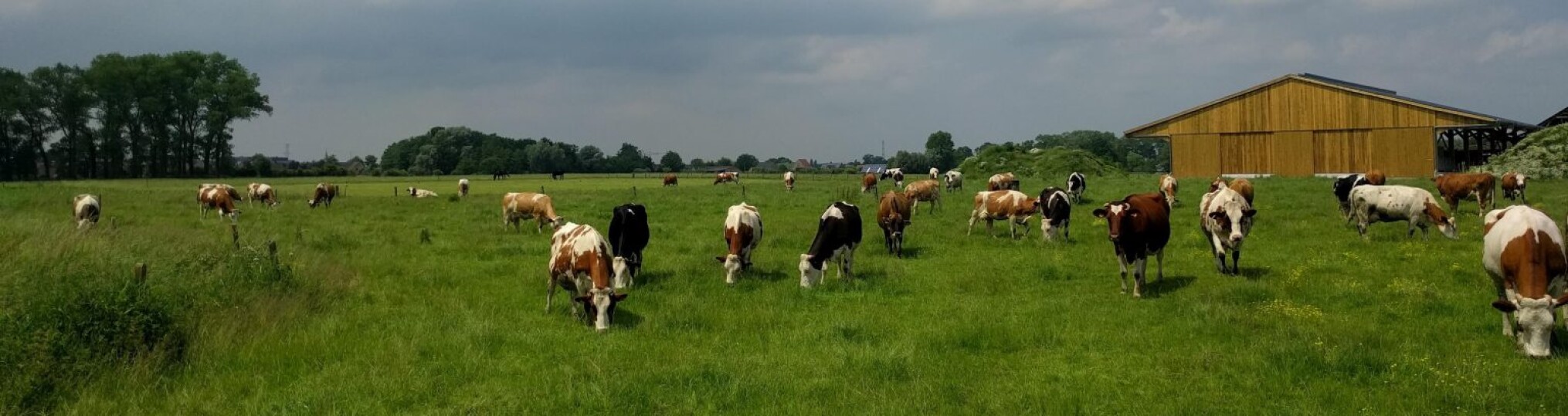 Open boerderijdag: Hoeve Pante