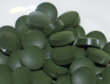 Micro-algen als wissel op de toekomst voor glastuinbouw