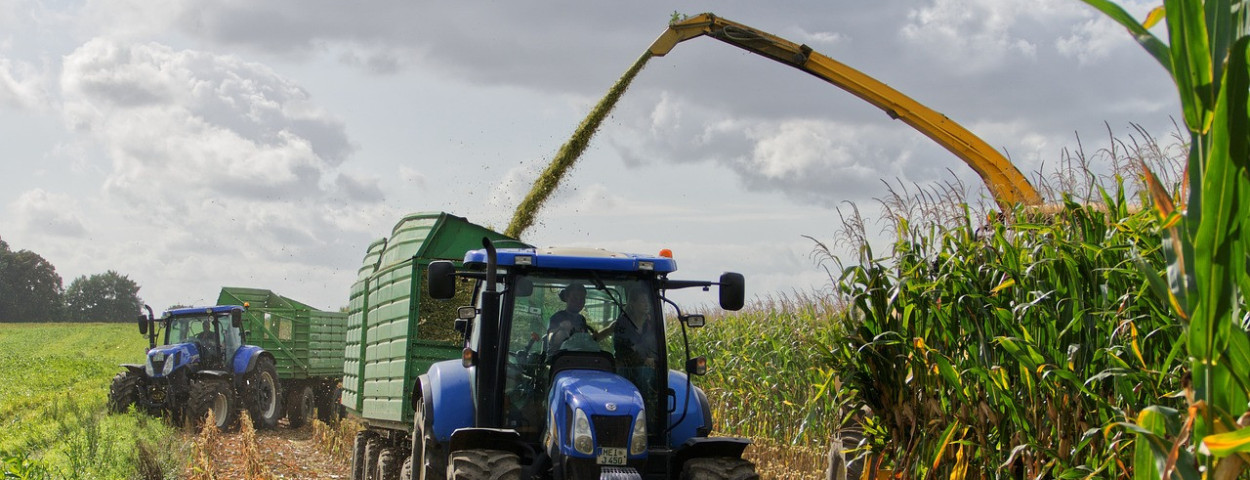 tractor mais