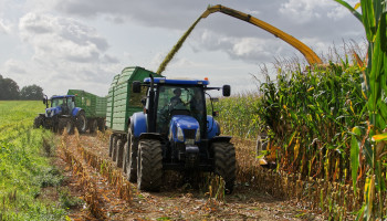 Versterkt en verscherpt protocol ondertekend voor maisbeproeving in België