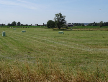 Hogan staat voorschot op subsidies toe vanwege droogte